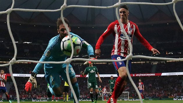 Brankář Dani Giménez (Real Betis) úspěšně likviduje pokus Fernanda Torrese (Atlético Madrid).