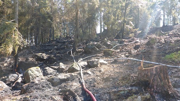 Hasiči likvidovali požár lesa u Kájova.