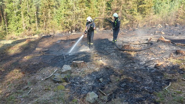 Hasiči likvidovali požár lesa u Kájova.