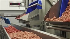Naváené maso urené na konzervování putuje na pásech do mixéru na mletí.