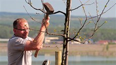 Sto rodin vysadilo sto stromů ke stému výročí Československa u jezera Medard....