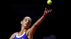 Tenistka Karolína Plíková podává bhem semifinále Fed Cupu proti Nmce...