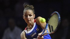 Tenistka Karolína Plíšková ve Fed Cupu.