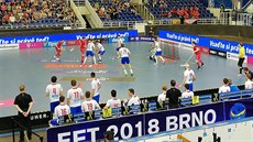 Čeští florbalisté během turnaje EFT v Brně v zápase se Švýcarskem