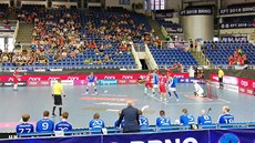 Čeští florbalisté v zápase s Finskem na turnaji EFT v Brně.