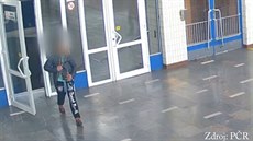 Zlodj v Chebu strhl turistce  z ramene kabelku