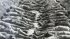 Masakr ve Vyborgu si vyádal minimáln 400 lidských obtí