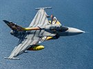 Pilot Ivo Kardo s Gripenem bhem Eurasia Airshow v Turecku