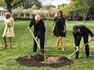 Trump vysadil s Macronem dub, který má symbolizovat francouzsko-americké...