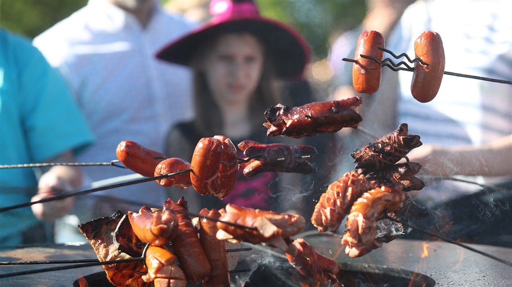 Pra�ský magistrát vydal zákaz zapalování oh�� v parcích a lesích. (30.4. 2018)