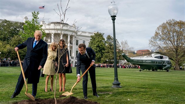 Americký prezident Donald Trump a jeho francouzský protějšek Emmanuel Macron společně vysadili na jižním trávníku u Bílého domu dub, který má symbolizovat francouzsko-americké přátelství (23. dubna 2018)