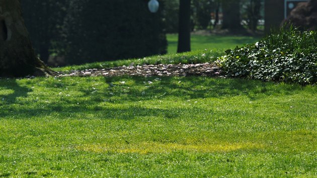 Z jižního trávníku u Bílého domu zmizel dub (v místech, kde byl, je trávník nažloutlý), který tam minulý týden společně zasadili americký prezident Donald Trump a jeho francouzský protějšek Emmanuel Macron (28. dubna 2018)