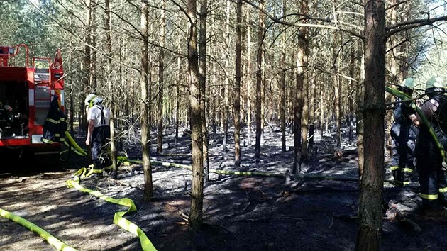 Poár zasáhl dva hektary lesa v Semín (6.6.2018).