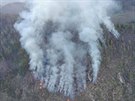 Rozsáhlý poár, který zasáhl ve tvrtek odpoledne Vysoké Tatry, mají u hasii...