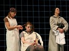 Hru Mikve uvedlo tak� N�rodn� divadlo Praha.