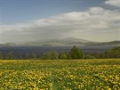 Pylový smog nad Lipenskou pehradou (1. 5. 2018)