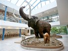 tymetrový mamut dominuje brnnskému pavilonu Anthropos u od jeho otevení v...