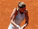 eská tenistka Petra Kvitová na turnaji v Madridu.
