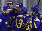 védtí hokejisté Adam Larsson, Oliver Ekman Larsson, Rickard Rakell, Mattias...