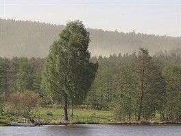 Mrana pylu nad lesy u Kiánek (2. kvtna 2018).