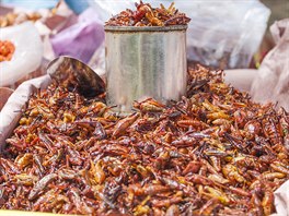 Sma�ené nebo pra�ené kobylky - Chapulines, jsou v n�kterých �ástech Mexika...