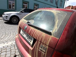 Vrstvy žlutého pylu na zaparkovaném autě v Humpolci (2. května 2018)