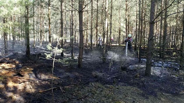 Požár zasáhl dva hektary lesa v Semíně (6.6.2018).