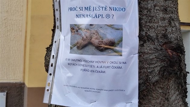Cedulemi proti líným pejskařům v Praze 10.