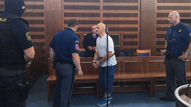Obžalovaného Petra Jansu přivedla ke Krajskému soudu v Hradci Králové čtyřčlenná vězeňská služba, protože ve vazbě napadl spoluvězně. (2.5.2018)