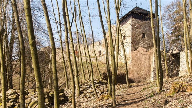 Zřícenina hradu Lukova