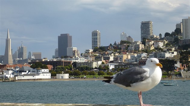 Příchod mlhy do San Franciska zasahuje do životů námořníků, řidičů i realitních makléřů. Ve čtvrtích, kde se vyskytuje, nepotřebují obyvatelé města klimatizaci a mají i nižší spotřebu vody.