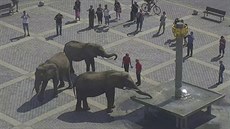 V centru Perova se ped polednem promenádovali ti sloni zdejího hostujícího...
