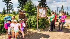 Projít se m��ete ve �pindlerov� Mlýn� po nau�ných stezkách.