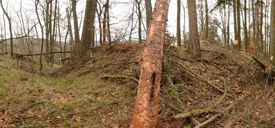 Archeologové objevili ve Vojenském újezdu Hradit velké tvrzit.