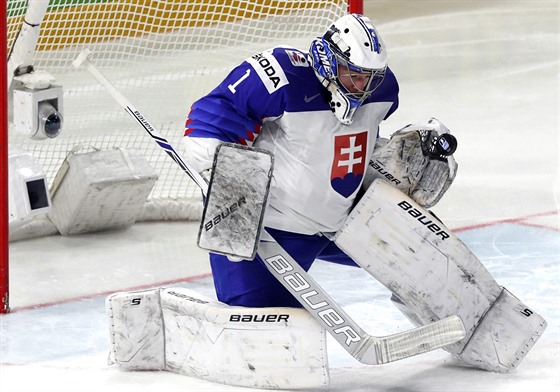 Slovenský branká Marek iliak na mistrovství svta v Dánsku