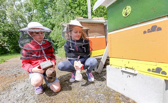 Některá domy dětí a mládeže nabízejí například i včelařský kroužek. Ilustrační snímek.
