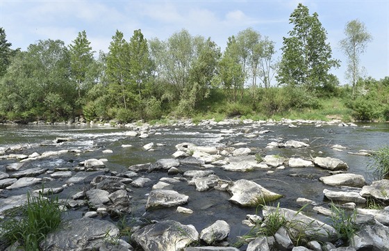 V řece Bečvě na Moravě je uprostřed jara málo vody, jelikož v zimě bylo málo...