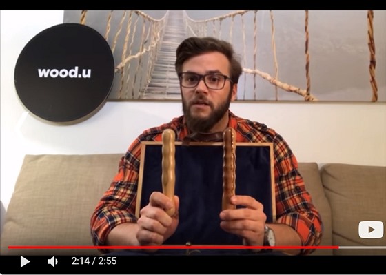 Ve videu na podporu akce se mete seznámit s píbhem firmy Wood.u.