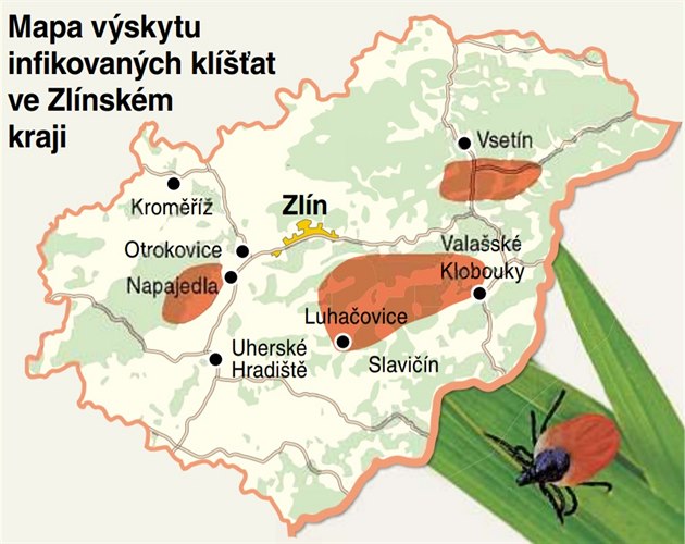 Mapa výskytu infikovaných klíat ve Zlínském kraji.