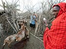 Masajská vesnice, neboli Boma, má kruhovitý tvar. Je obehnána bohatým hutným...
