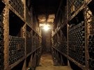 Ve sklep mají archiv bílého vína, piem nejstarí pochází u z roku 1917.