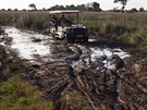 Safari v delt eky Okavango