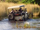 Safari v delt eky Okavango
