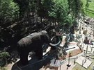 V areálu na Dolní Morav bude obí model mamuta