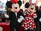 Mickey Mouse i Minnie Mouse mají oba své otisky na Hollywoodském chodníku slávy.