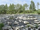 V řece Bečvě na Moravě je uprostřed jara málo vody, jelikož v zimě bylo málo...