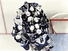 Hokejový Winnipeg si zahraje konferenní finále, jeho hrái to oslavují.