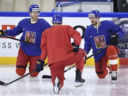 Zleva David Pastrk, Dmitrij Jakin a David Krej pi trninku esk hokejov...