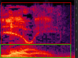Analýza zvuku „Laurel/Yanny“ ukazuje, že ve spodních frekvencích (zelený...