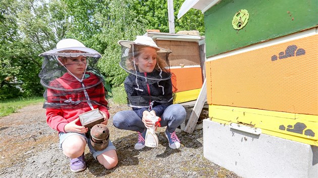 V kroužku při ZŠ Vodňanská v Prachaticích se žáci starají o včely.
